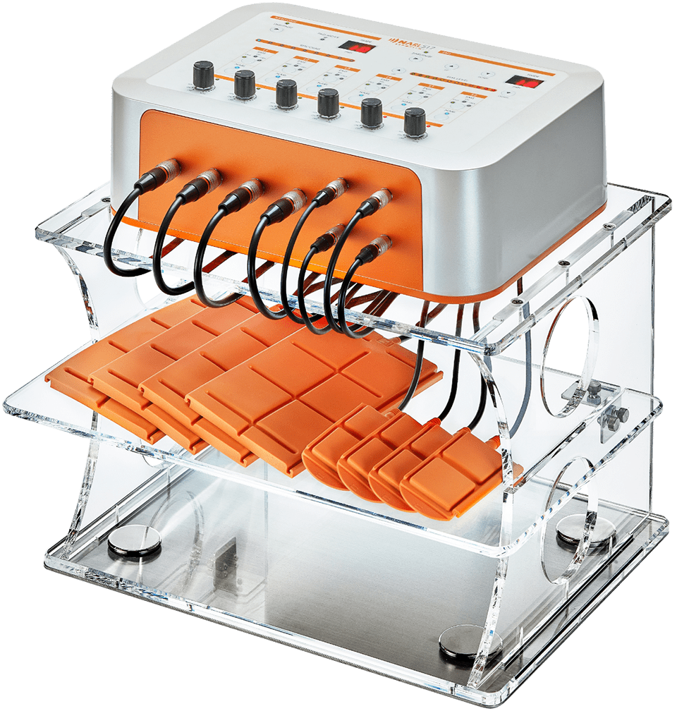 左斜め正面から見たNARL517 リポスティムフィット